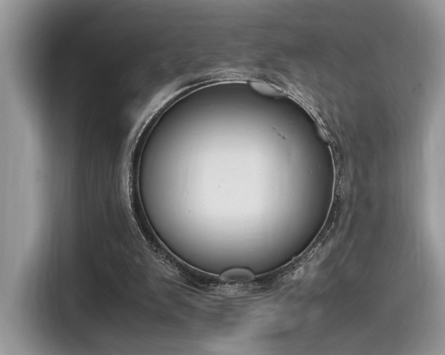 X0000116270103200911301221
