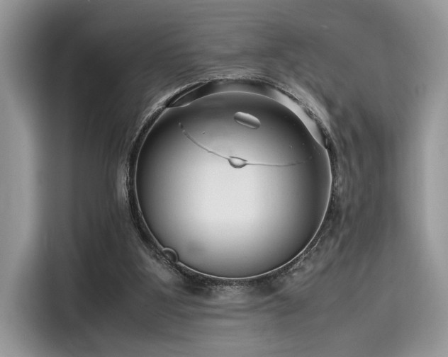 X0000116270107200911301221