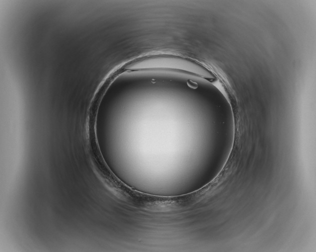 X0000116270108200911301221