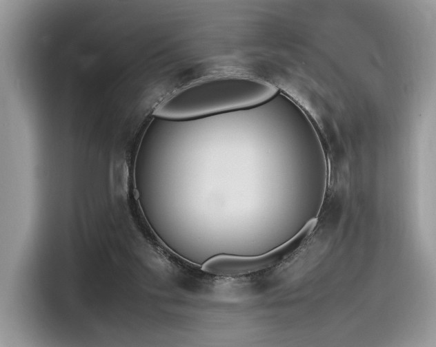 X0000116270109200911301221