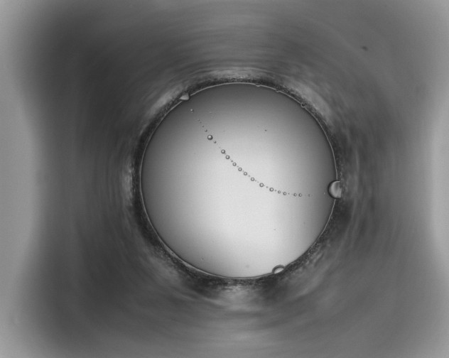 X0000116270111200911301221