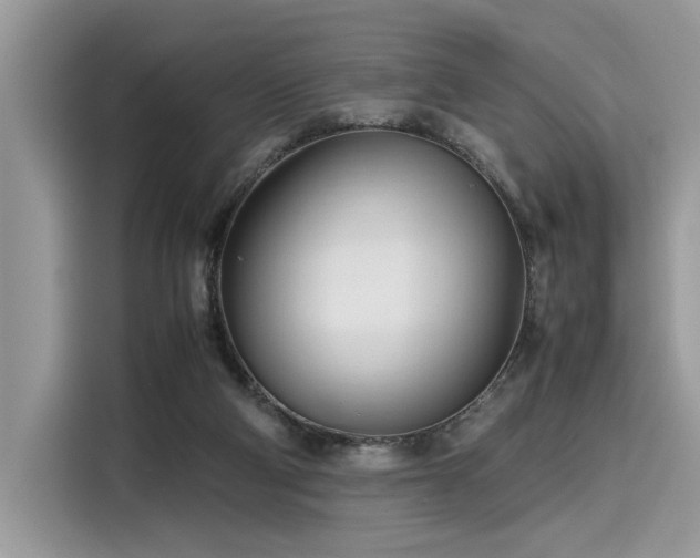 X0000116270114200911301221