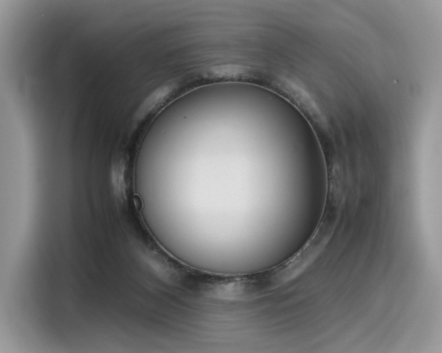 X0000116270116200911301221