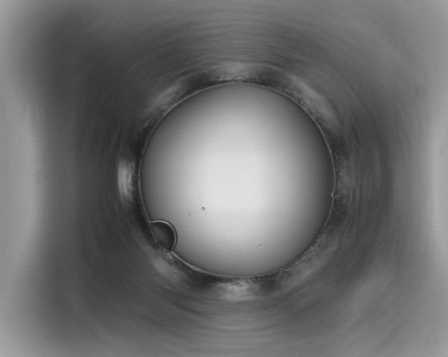 X0000116270118200911301221