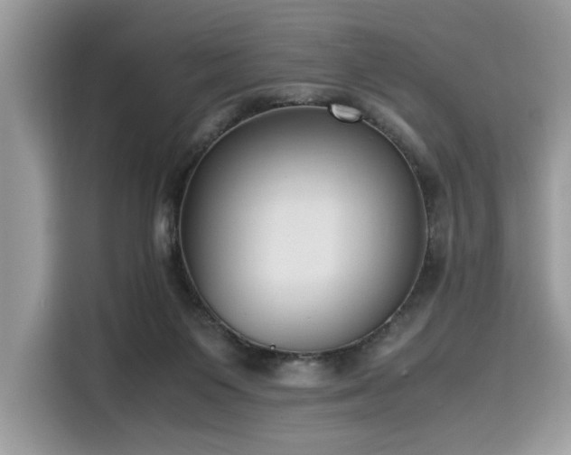 X0000116270119200911301221