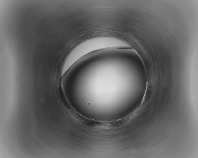 X0000116270124200911301221