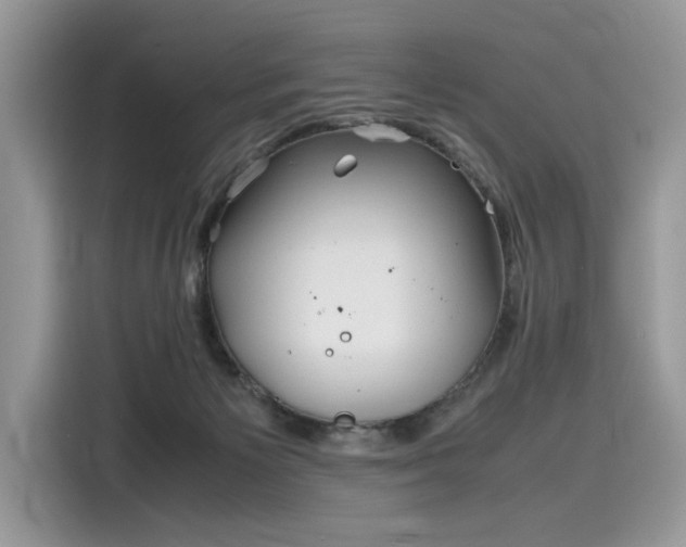 X0000116270125200911301221