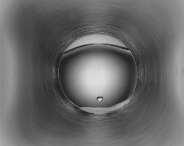 X0000116270128200911301221