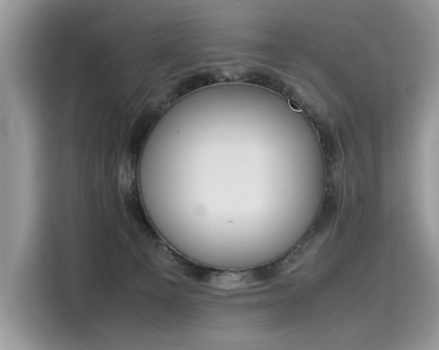X0000116270129200911301221