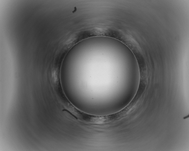 X0000116270131200911301221