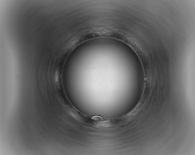 X0000116270132200911301221