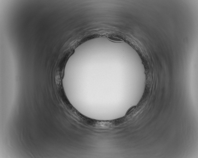 X0000116270137200911301221