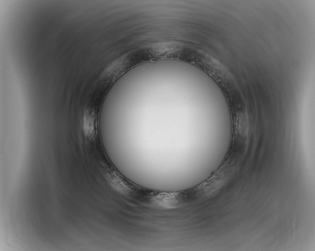 X0000116270138200911301221