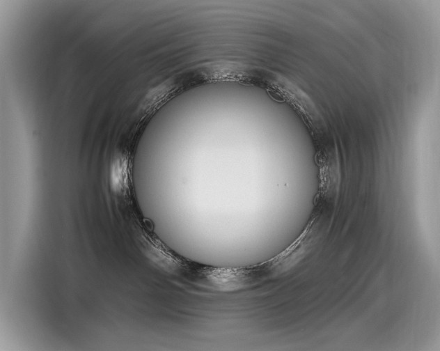X0000116270142200911301221