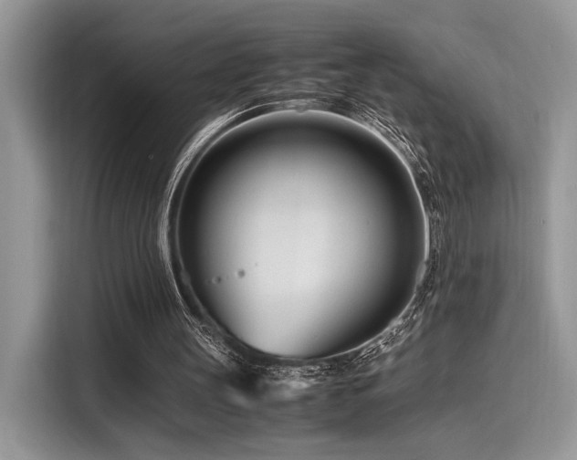 X0000116270147200911301220