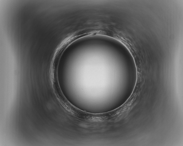 X0000116270149200911301220
