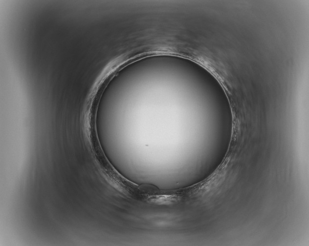 X0000116270151200911301220