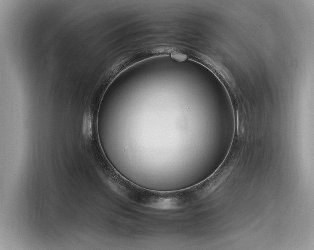X0000116270157200911301220