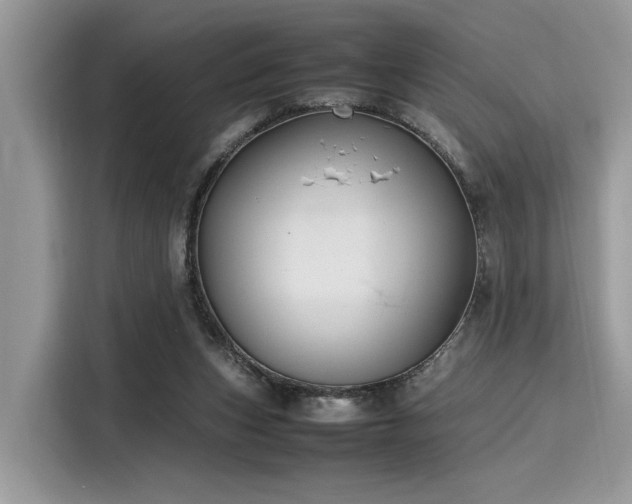 X0000116270159200911301220
