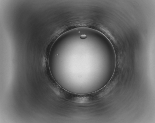 X0000116270161200911301220