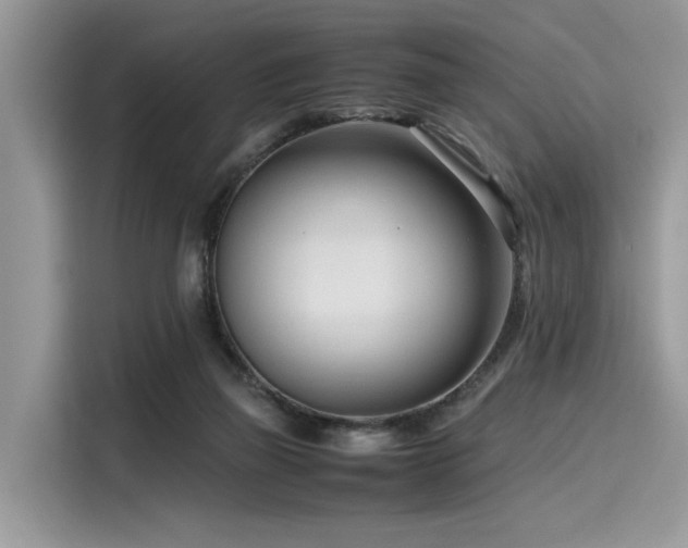 X0000116270165200911301220