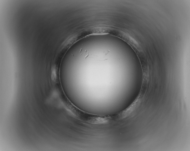 X0000116270166200911301220