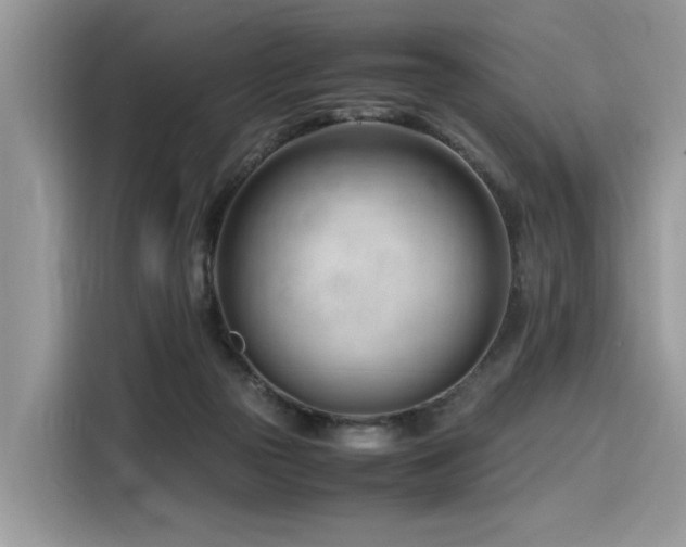 X0000116270169200911301220