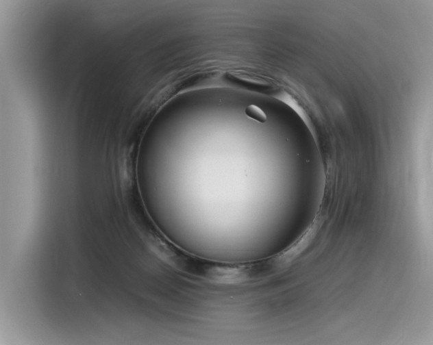 X0000116270170200911301220