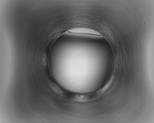 X0000116270174200911301220