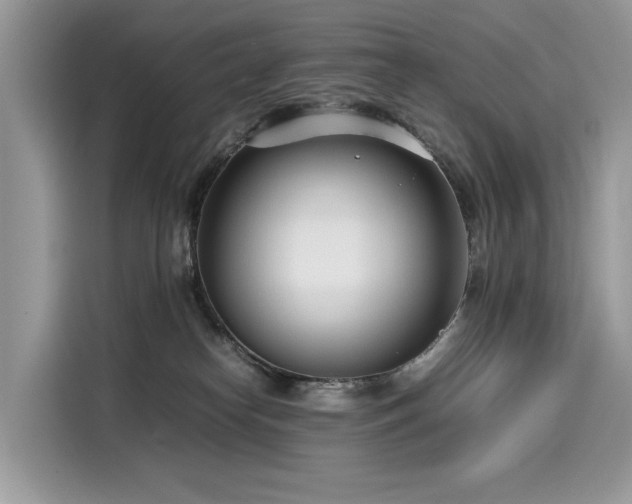 X0000116270182200911301220