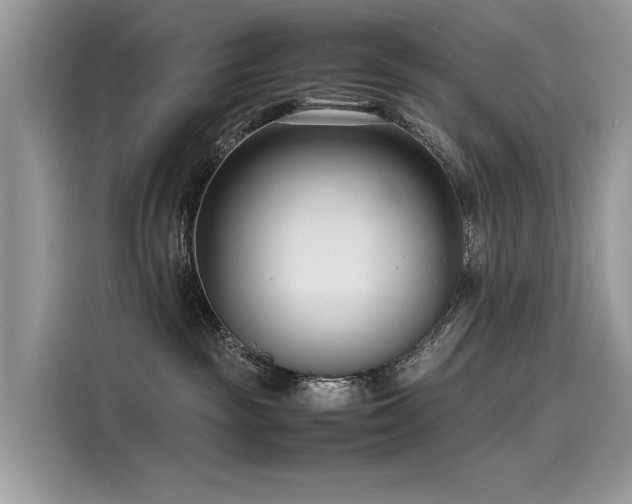 X0000116270189200911301221