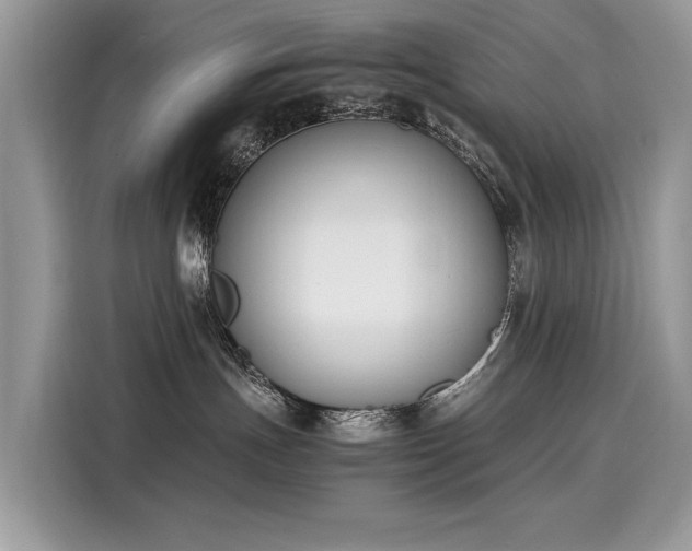 X0000116270191200911301221