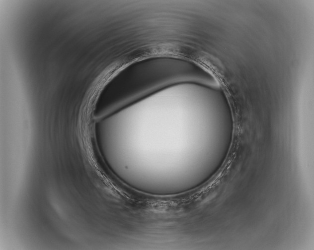 X0000116270193200911301220