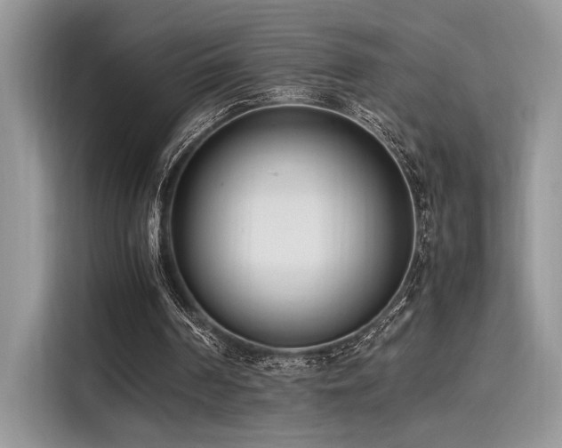 X0000116270194200911301220