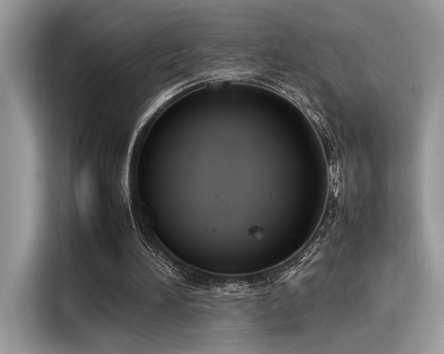X0000116270196200911301220