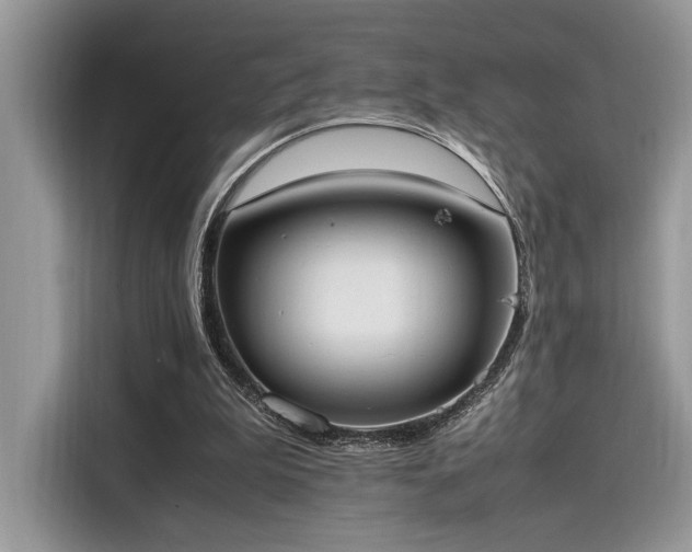 X0000116270199200911301220