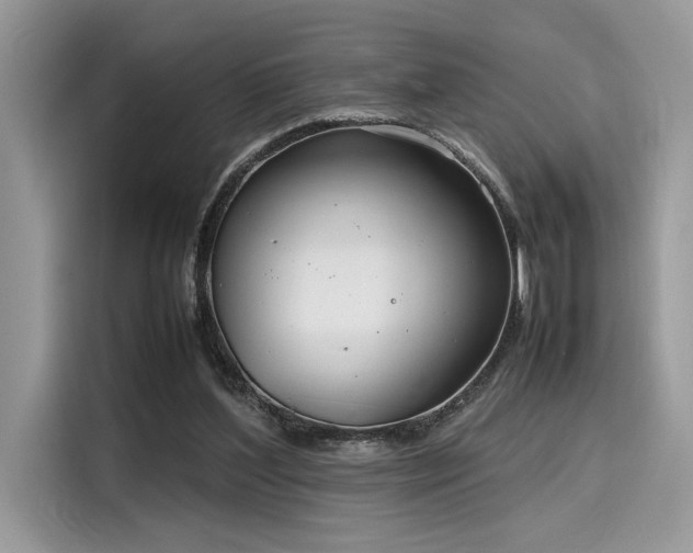 X0000116270204200911301220