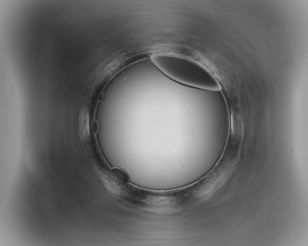 X0000116270205200911301220