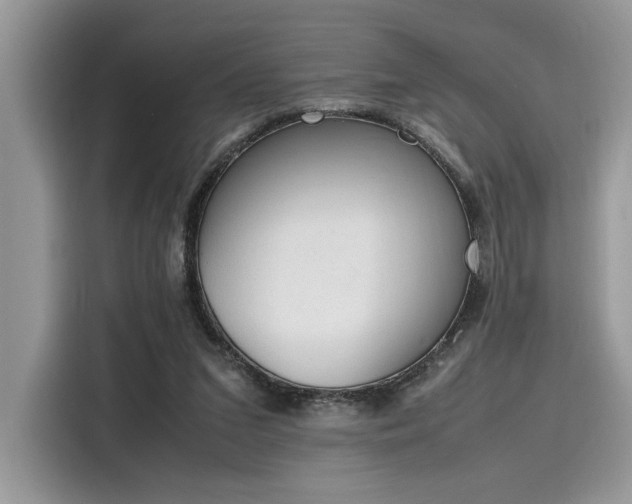 X0000116270207200911301220