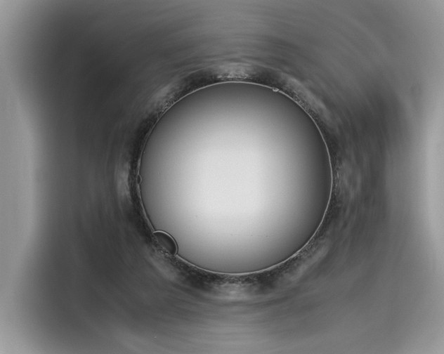 X0000116270209200911301220