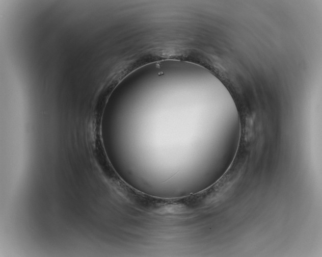 X0000116270210200911301220