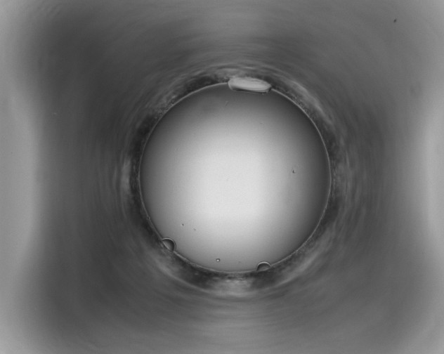 X0000116270217200911301220