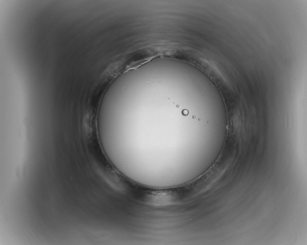 X0000116270218200911301220