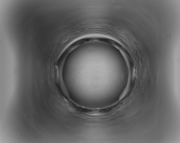 X0000116270219200911301220