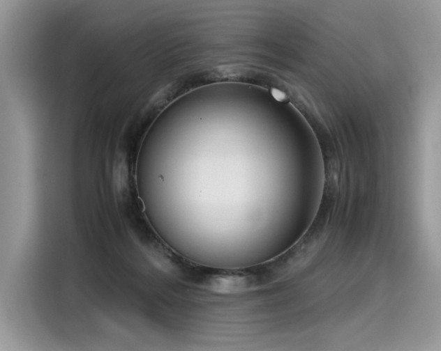 X0000116270220200911301220