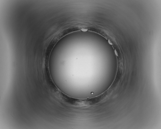 X0000116270221200911301220