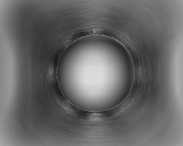X0000116270222200911301220