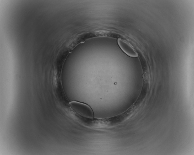 X0000116270223200911301220