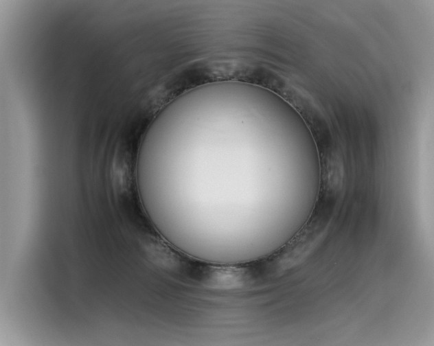 X0000116270226200911301220