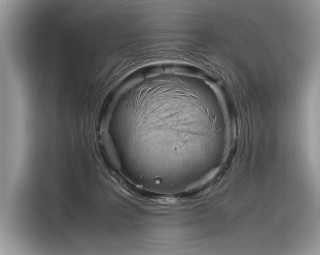 X0000116270227200911301220